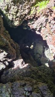 Grotta Tsunami